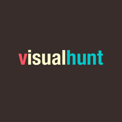 Visual Hunt